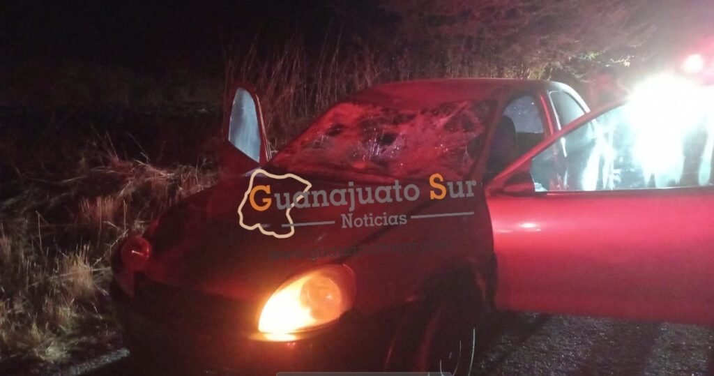 AUTOMOVILISTA CHOCA CONTRA UNA VACA Guanajuato Sur Noticias