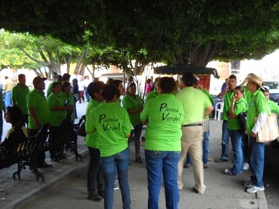 Inició campaña Pascual Zárate Ávila, Candidato del PVEM a la presidencia municipal de Salvatierra