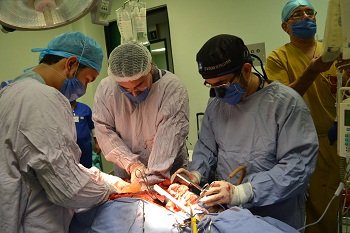 Además del mismo donante se procuraron: 2 riñones, 2 córneas y tejido musculo esquelético, todos estos órganos se quedarán en Guanajuato para pacientes en lista de espera.
