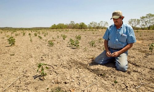 En lo que va del año la sequía se ha manifestado en más del 50 % del país,