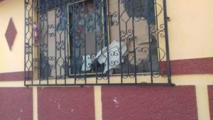 Daños en las viviendas de muchos vecinos de la colonia Carrillo Puerto indignó a los afectados, y ya presentaron denuncias ante el Ministerio Público, porque son menores de edad solapados por sus madres y casi nunca son castigados