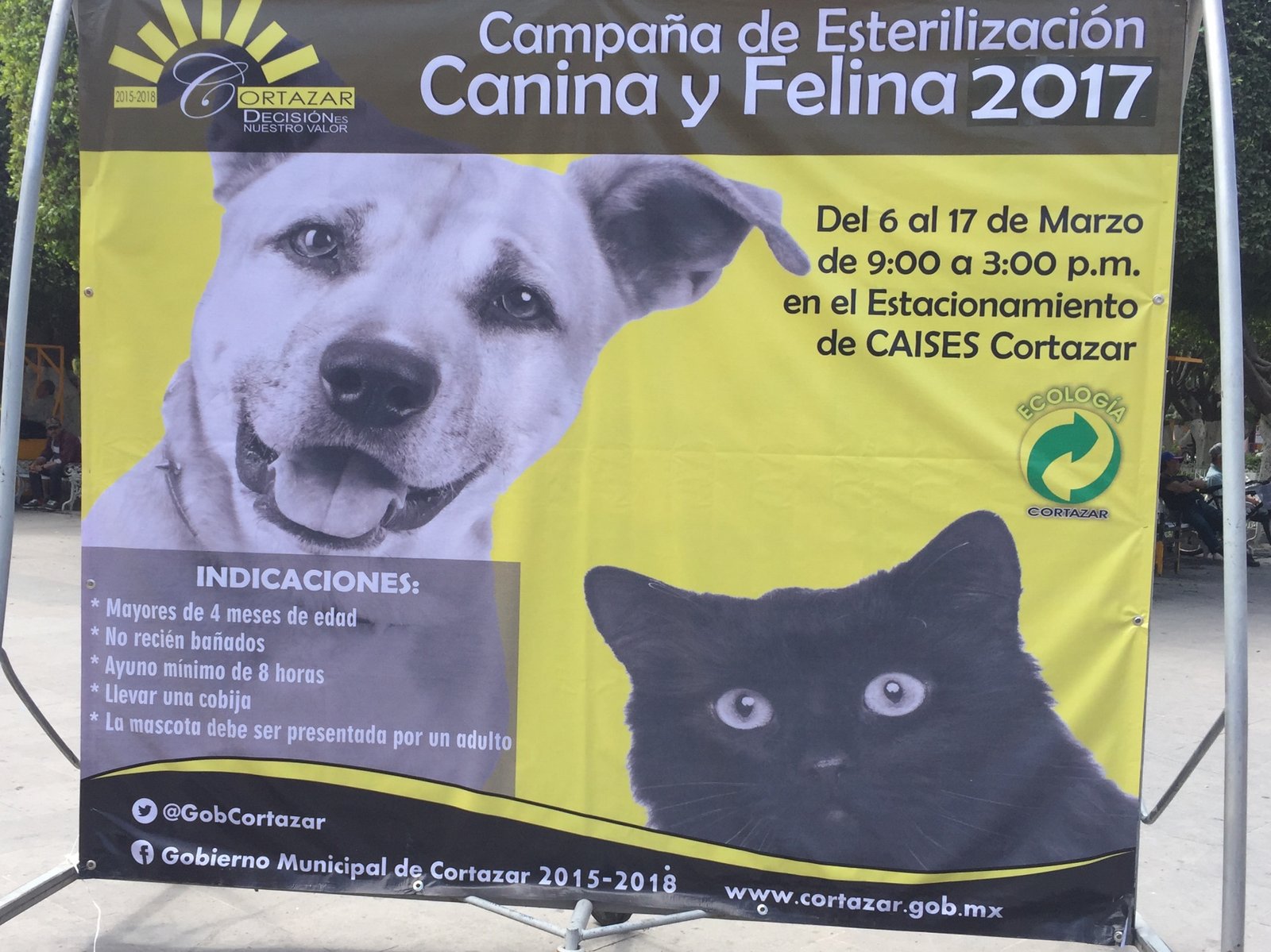 Por diferentes medios se da a conocer el programa de esterilización de mascotas perros y gatos, que finalizará el 17 de Marzo y que se realiza en el estacionamiento del Caises.